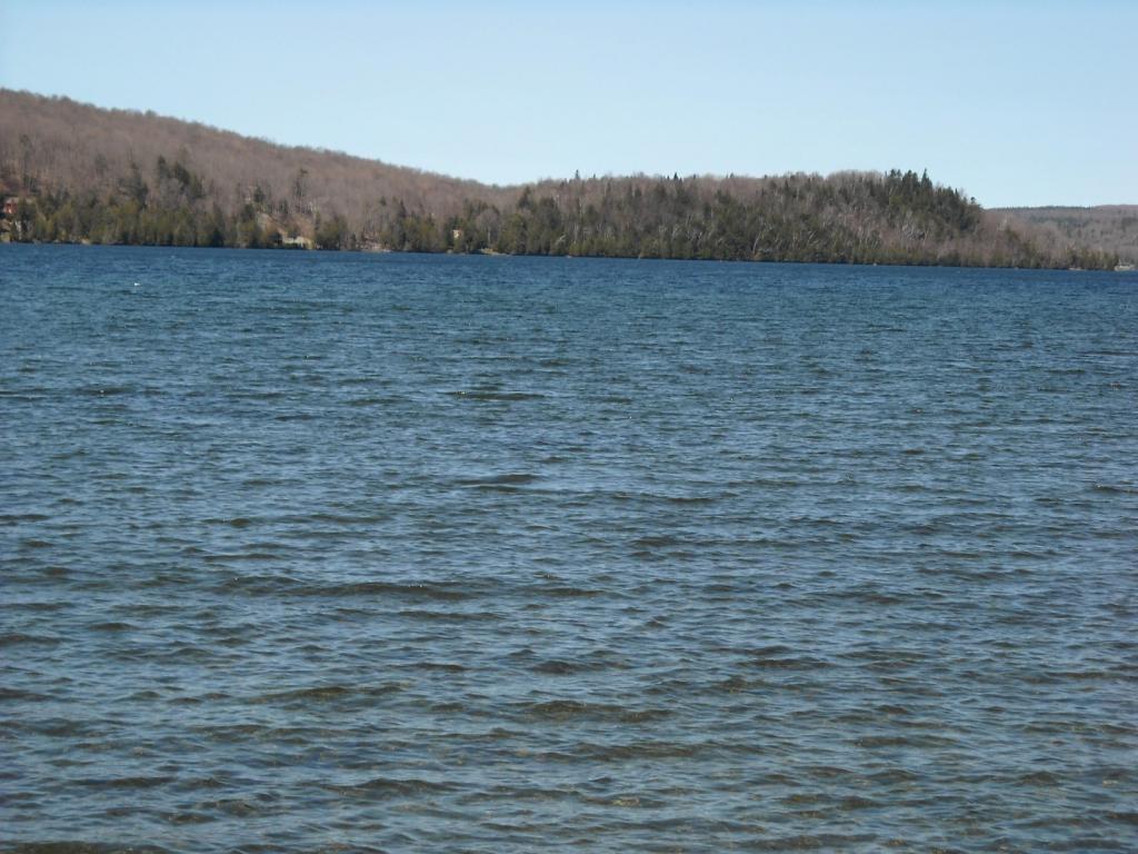 Lot 7 Big Rock Road Morgan, VT 05853 - Photo 11 of 14 Gallery Image 11