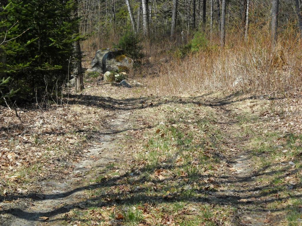 Lot 7 Big Rock Road Morgan, VT 05853 - Photo 3 of 14 Gallery Image 3
