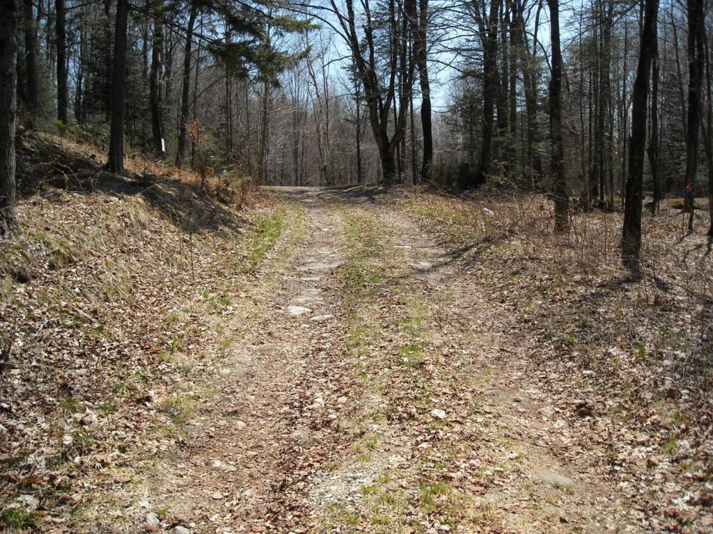 Lot 7 Big Rock Road Morgan, VT 05853 - Photo 4 of 14 Gallery Image 4