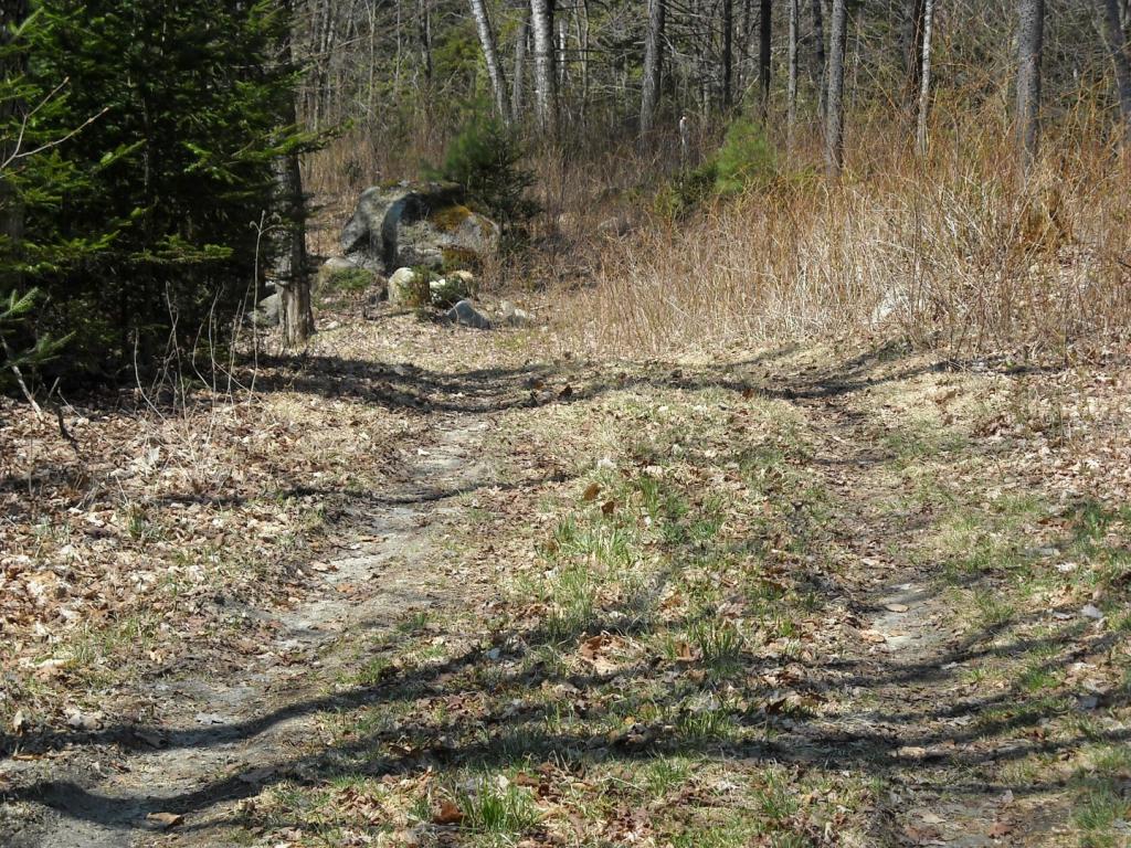 Lot 7 Big Rock Road Morgan, VT 05853 - Photo 5 of 14 Gallery Image 5