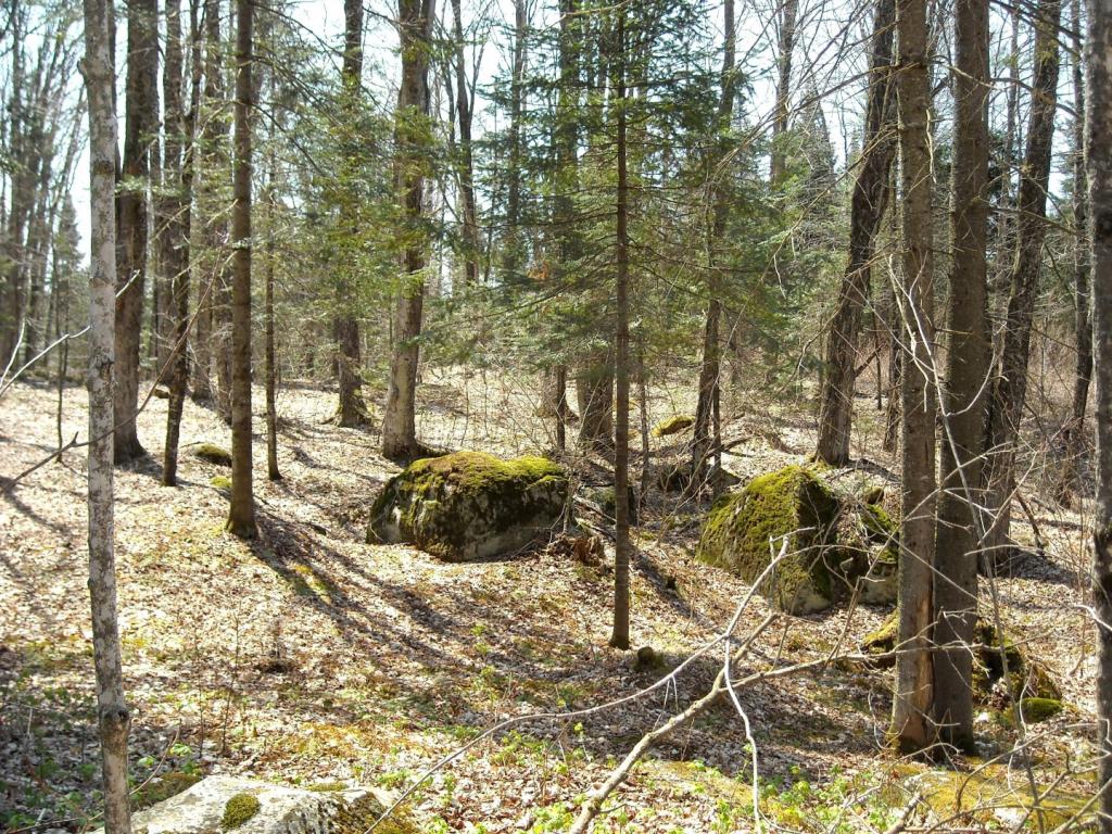 Lot 7 Big Rock Road Morgan, VT 05853 - Photo 7 of 14 Gallery Image 7