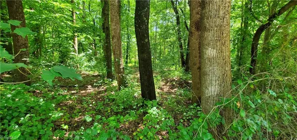 $26,000 | 3939 Highway 64, Mocksville, NC 27028