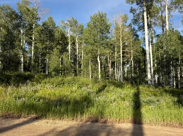 $309,000 | 26320 Beaver Canyon Drive, Clark, CO 80428