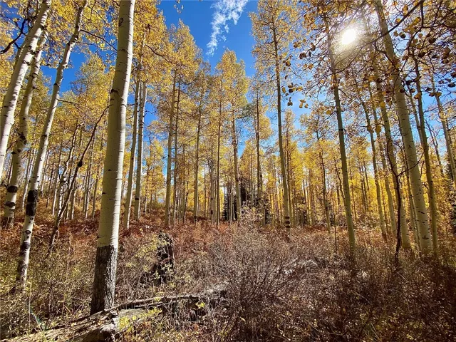 a view of a street sign