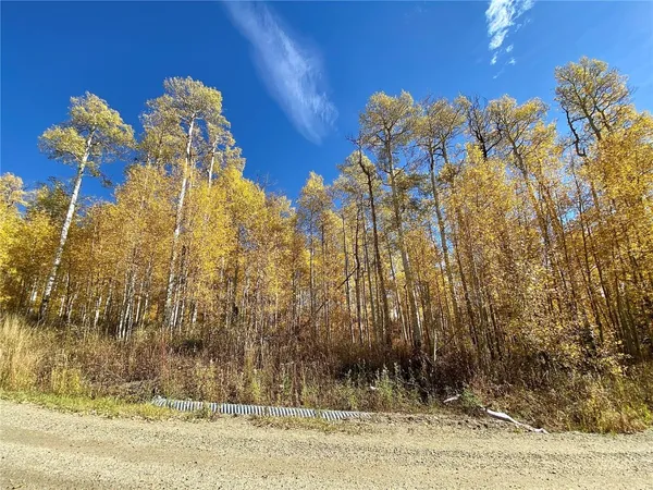 a view of a flower in a yard