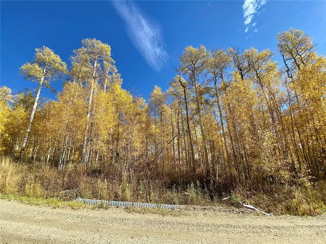 a view of a flower in a yard