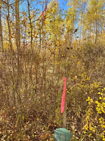 a bathroom with a shower curtain