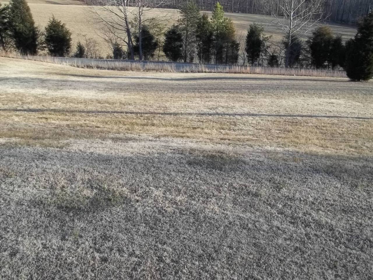 4541 Webster Road Glade Hill, VA 24092 - Photo 1 of 26 Front Yard