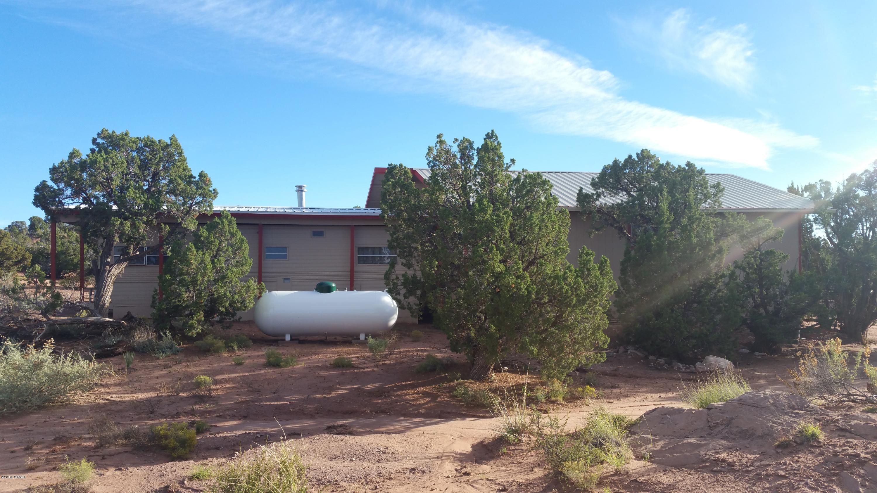 5139 Garibaldi Road Snowflake, AZ 85937 - Photo 21 of 39 a front view of a house with a yard and tree s