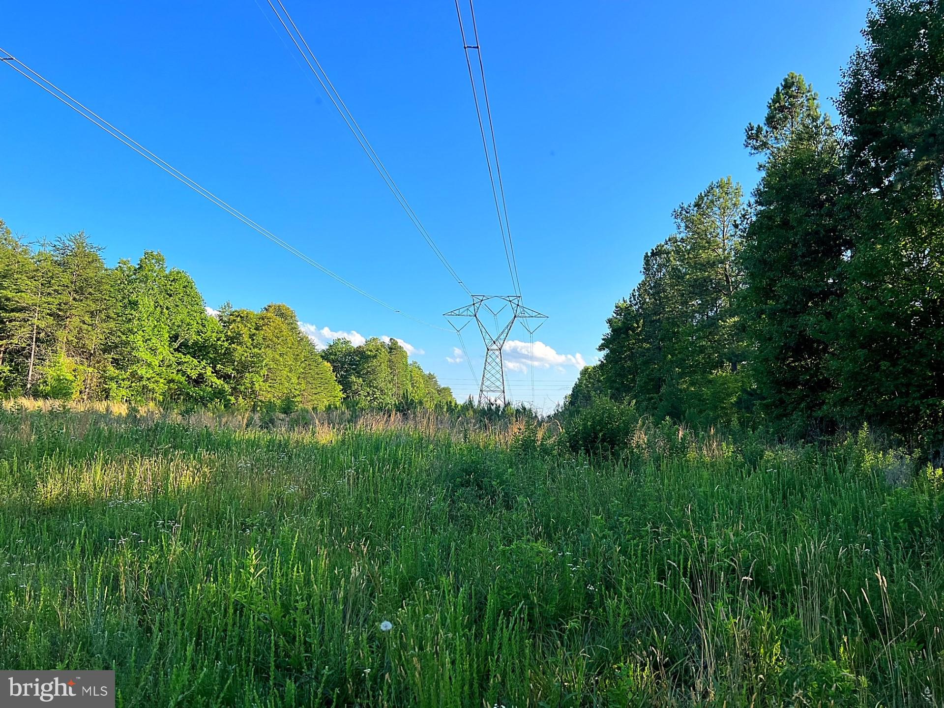 Eleys Ford Road Richardsville, VA 22736 - Photo 4 of 8