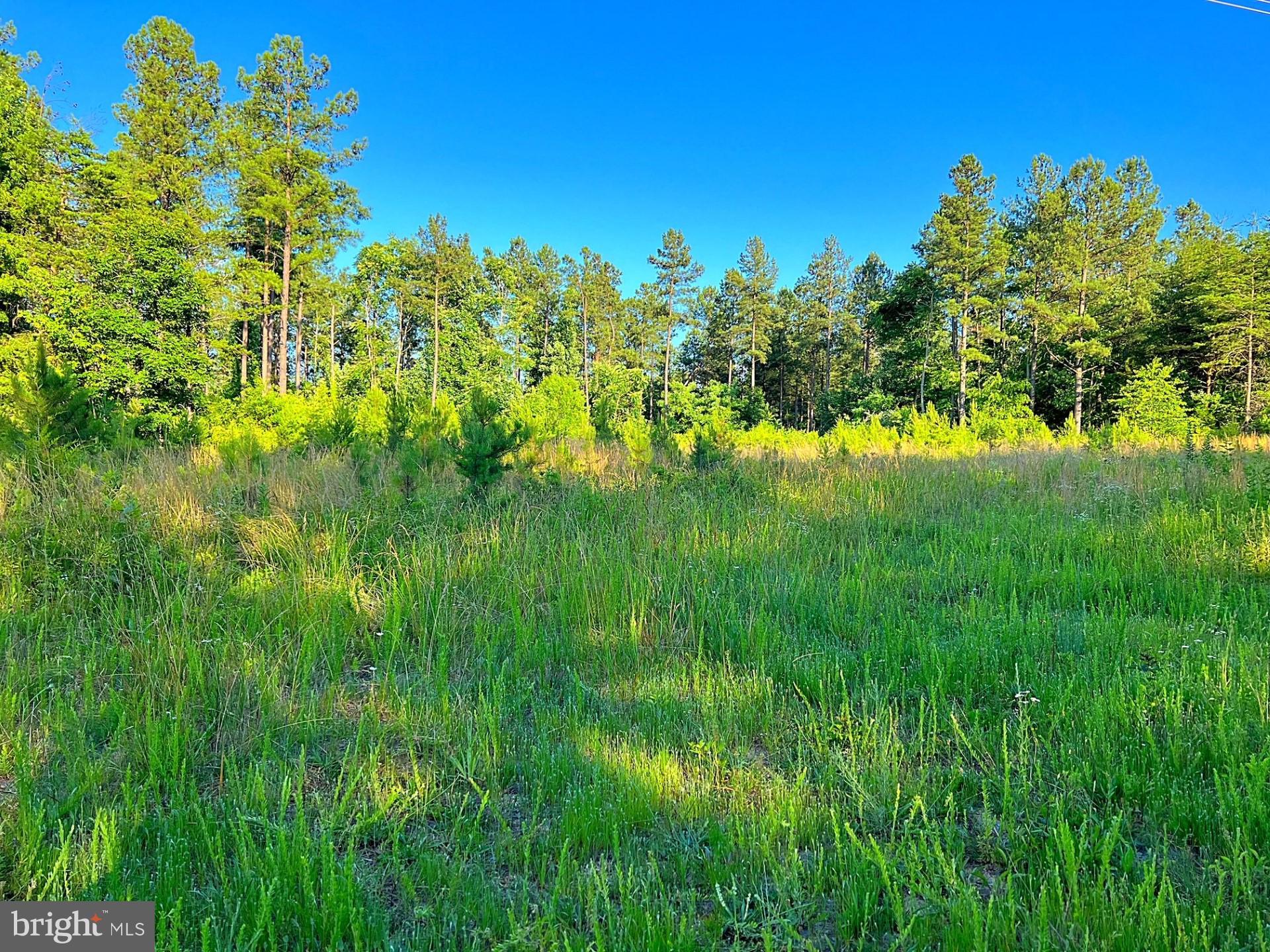 Eleys Ford Road Richardsville, VA 22736 - Photo 5 of 8