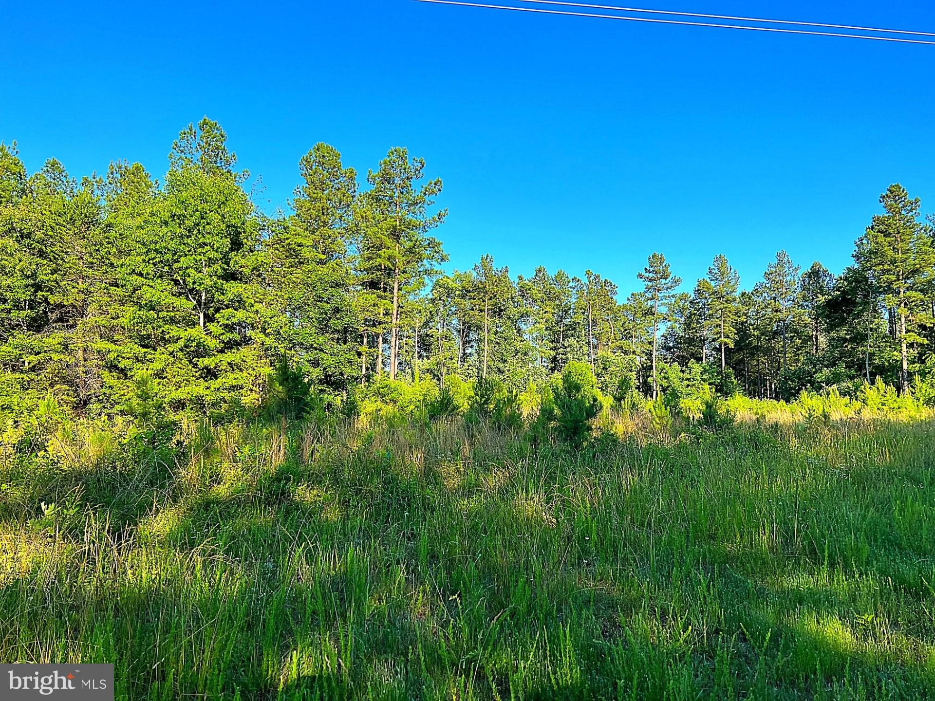 Eleys Ford Road Richardsville, VA 22736 - Photo 6 of 8