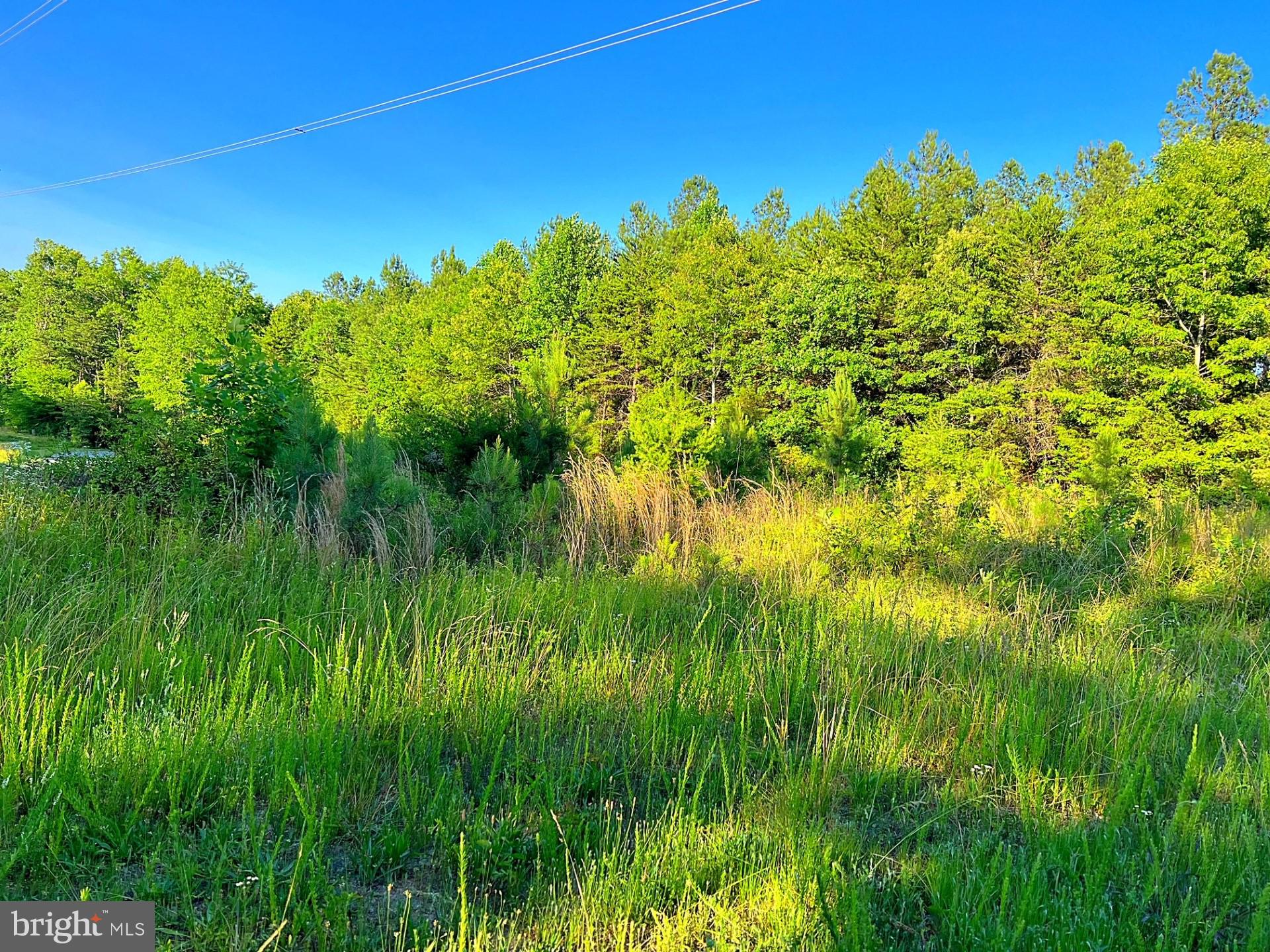 Eleys Ford Road Richardsville, VA 22736 - Photo 7 of 8