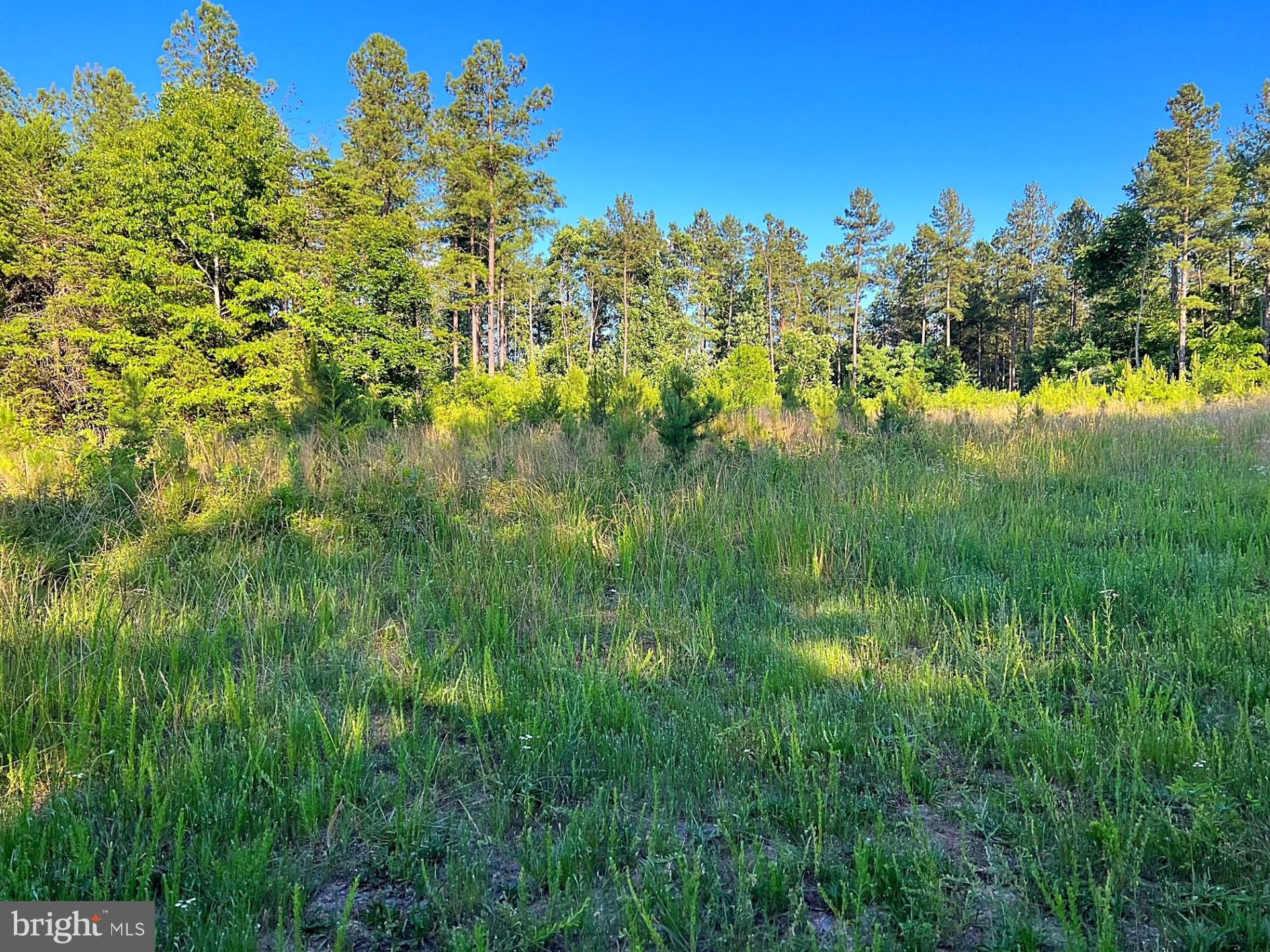 Eleys Ford Road Richardsville, VA 22736 - Photo 8 of 8