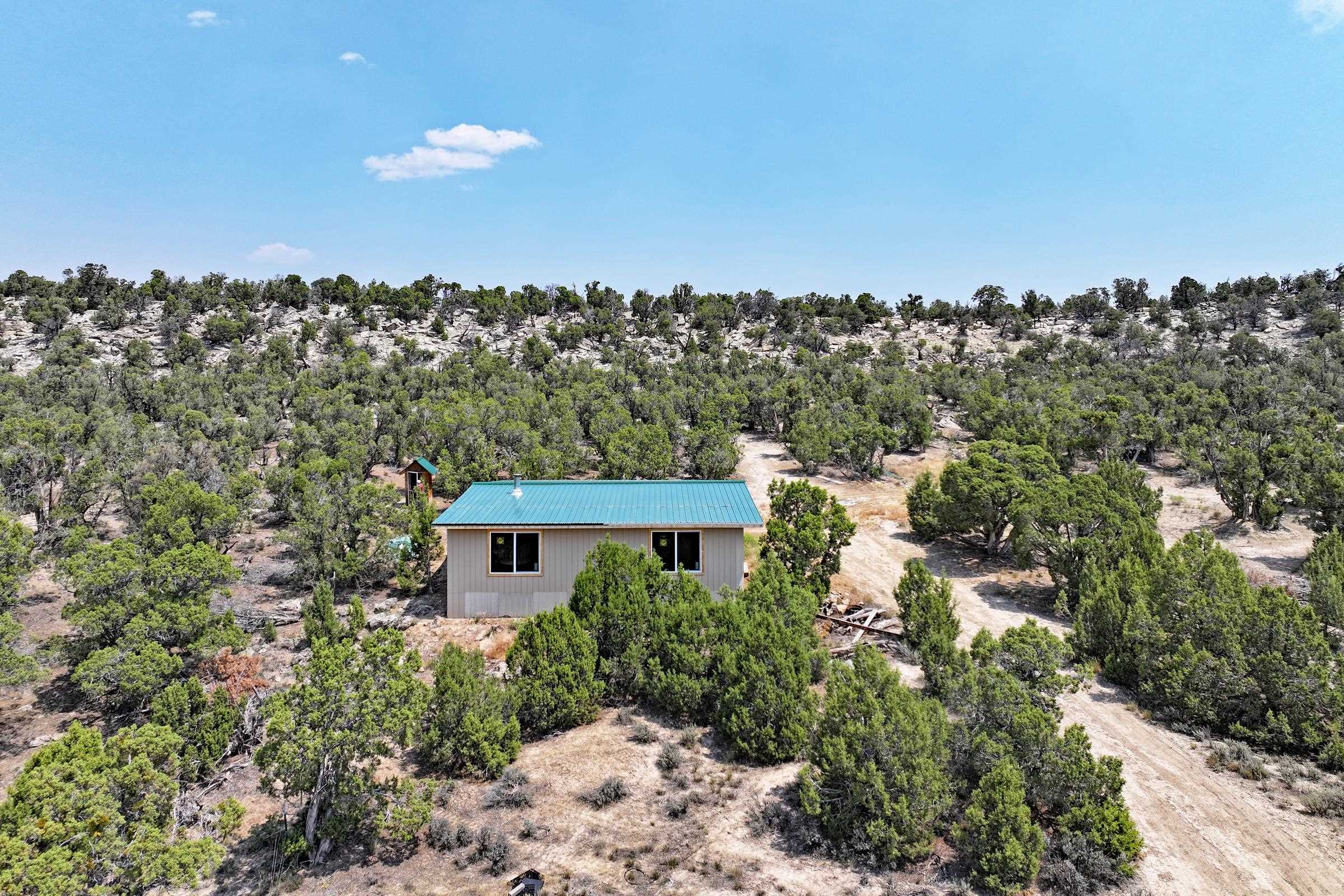 1775 35 1/10 Road De Beque, CO 81630 - Photo 5 of 36