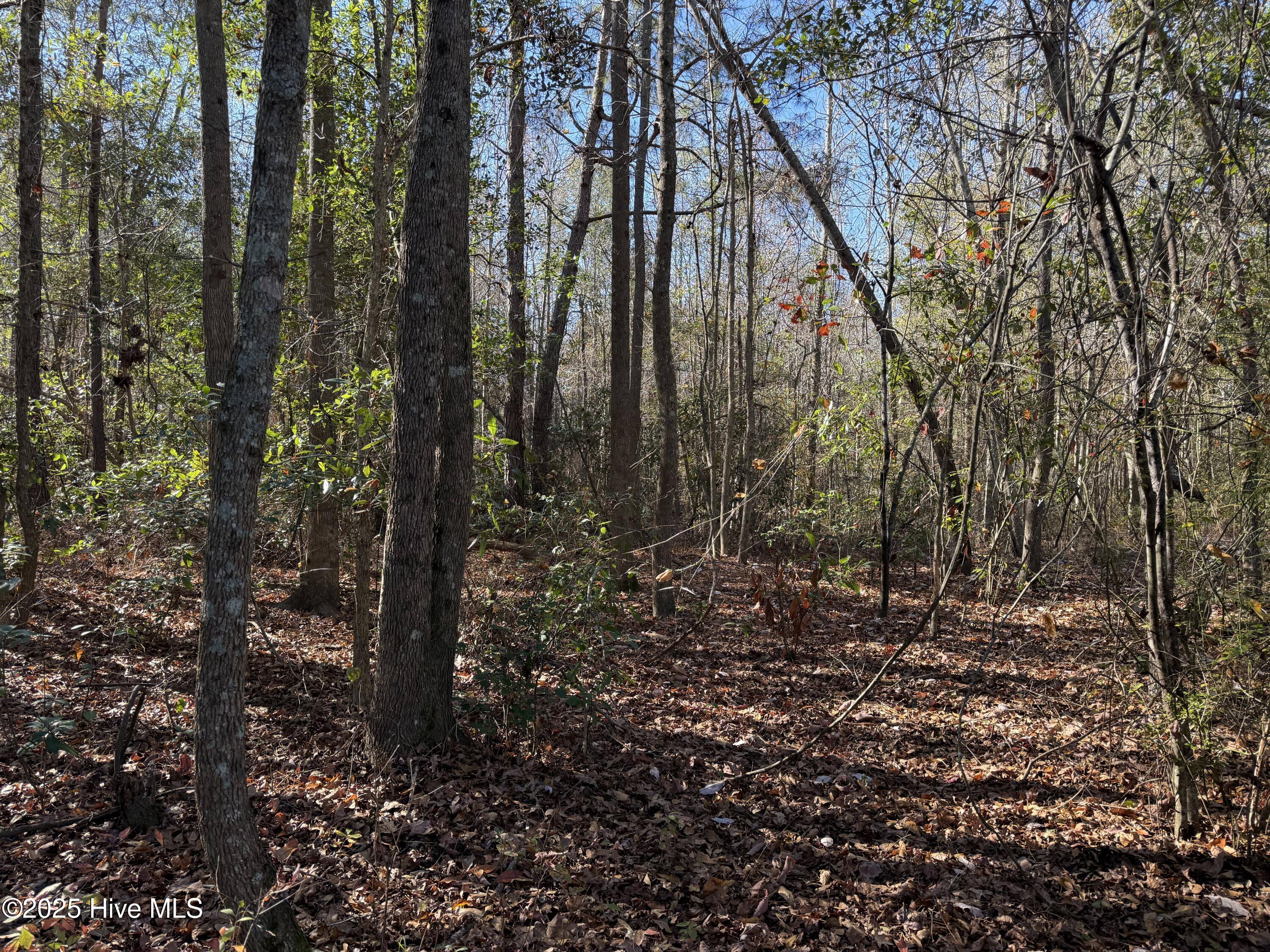 0 Macedonia Church Road Evergreen, NC 28438 - Photo 23 of 34 Image 23