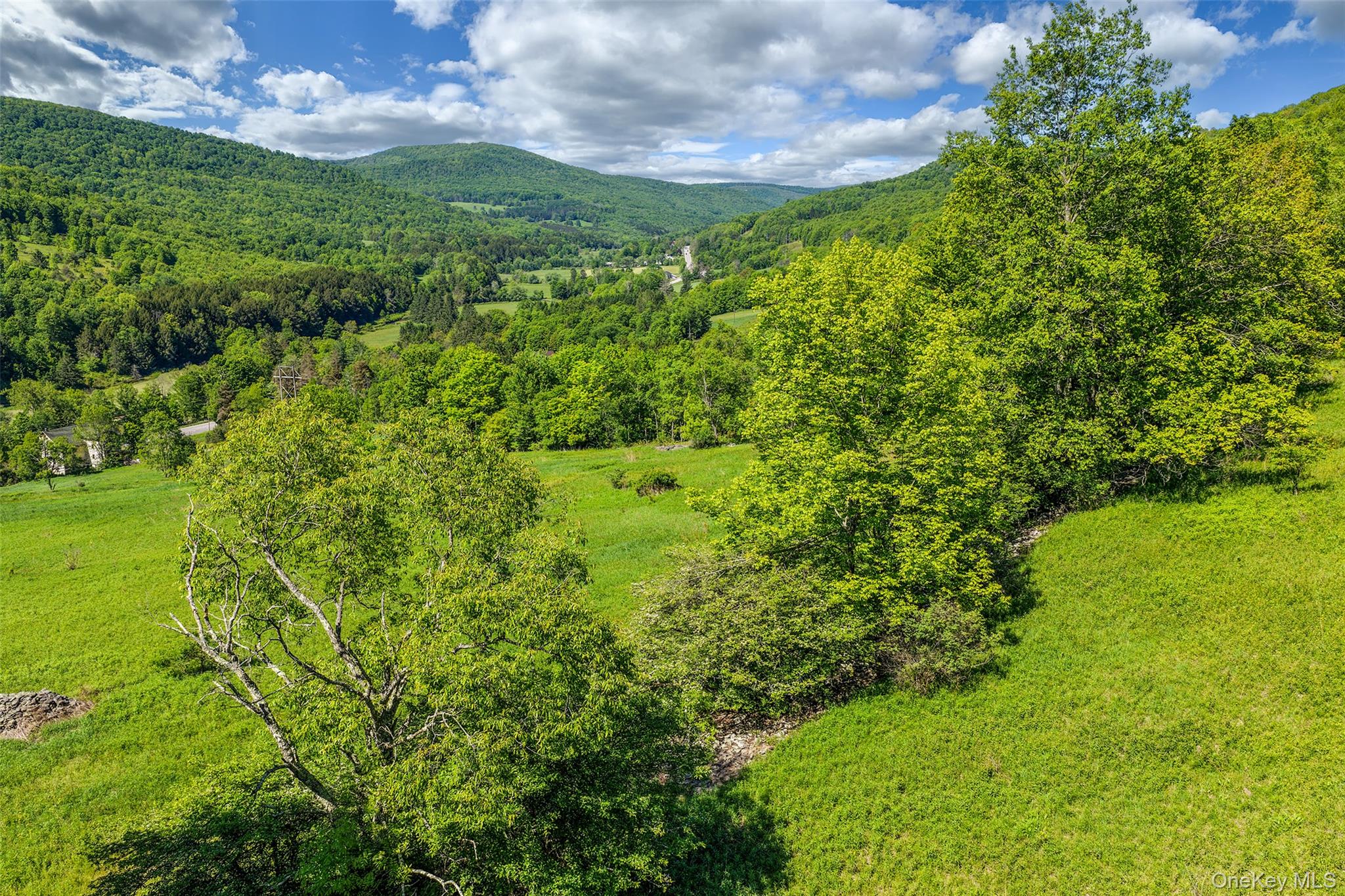 26 Federal Hill 2 Road Delhi, NY 13753 - Photo 42 of 50