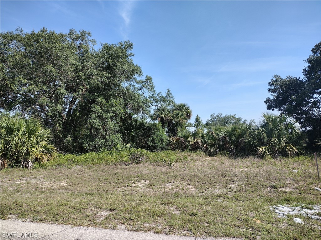 Argosy Road LaBelle, FL 33935 - Photo 3 of 9 a view of a field with trees in the background