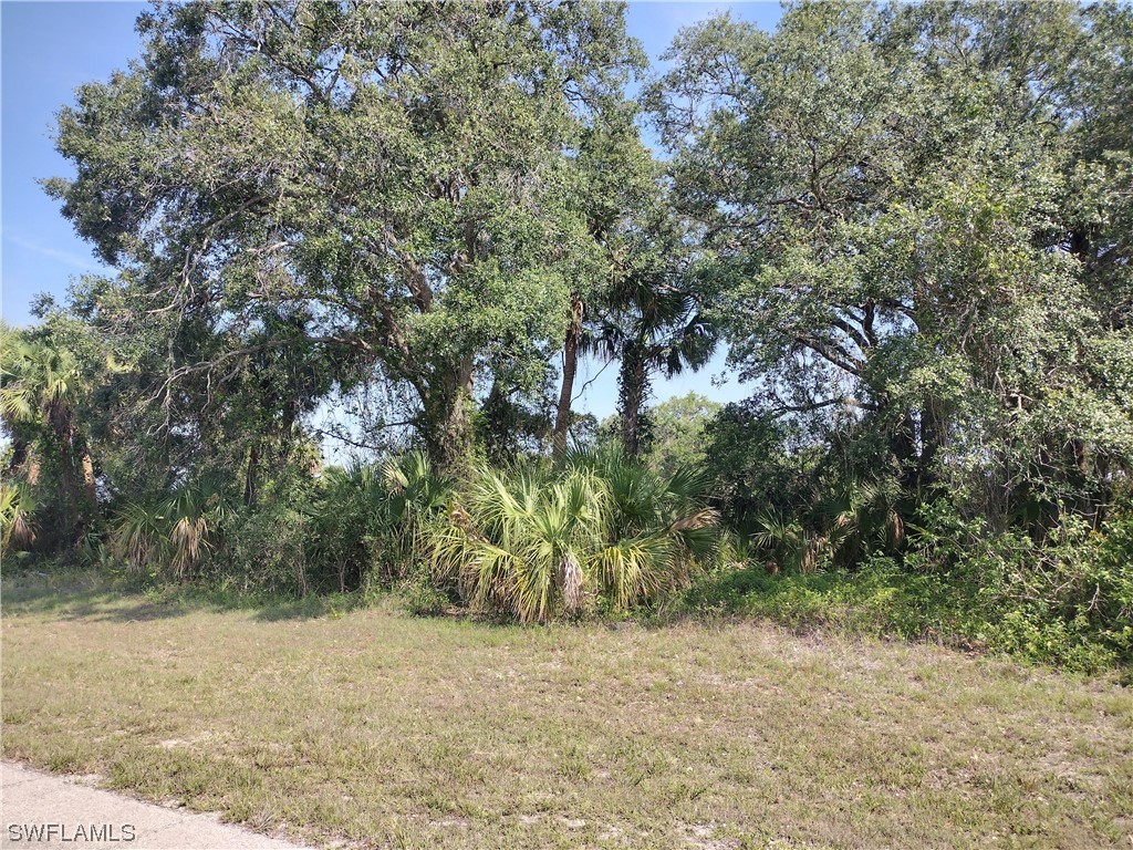 Argosy Road LaBelle, FL 33935 - Photo 4 of 9 a view of a yard with a tree