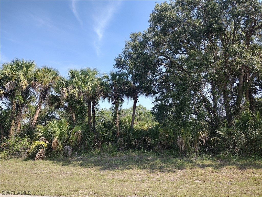 Argosy Road LaBelle, FL 33935 - Photo 5 of 9 a view of a lake view