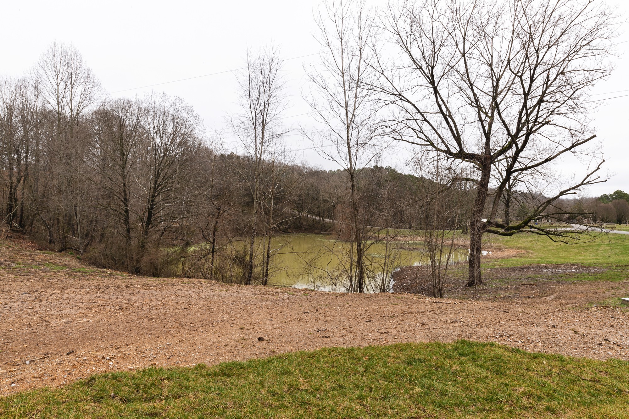 713 Still Pond Road Columbia, TN 38401 - Photo 38 of 41 Gallery Image 38