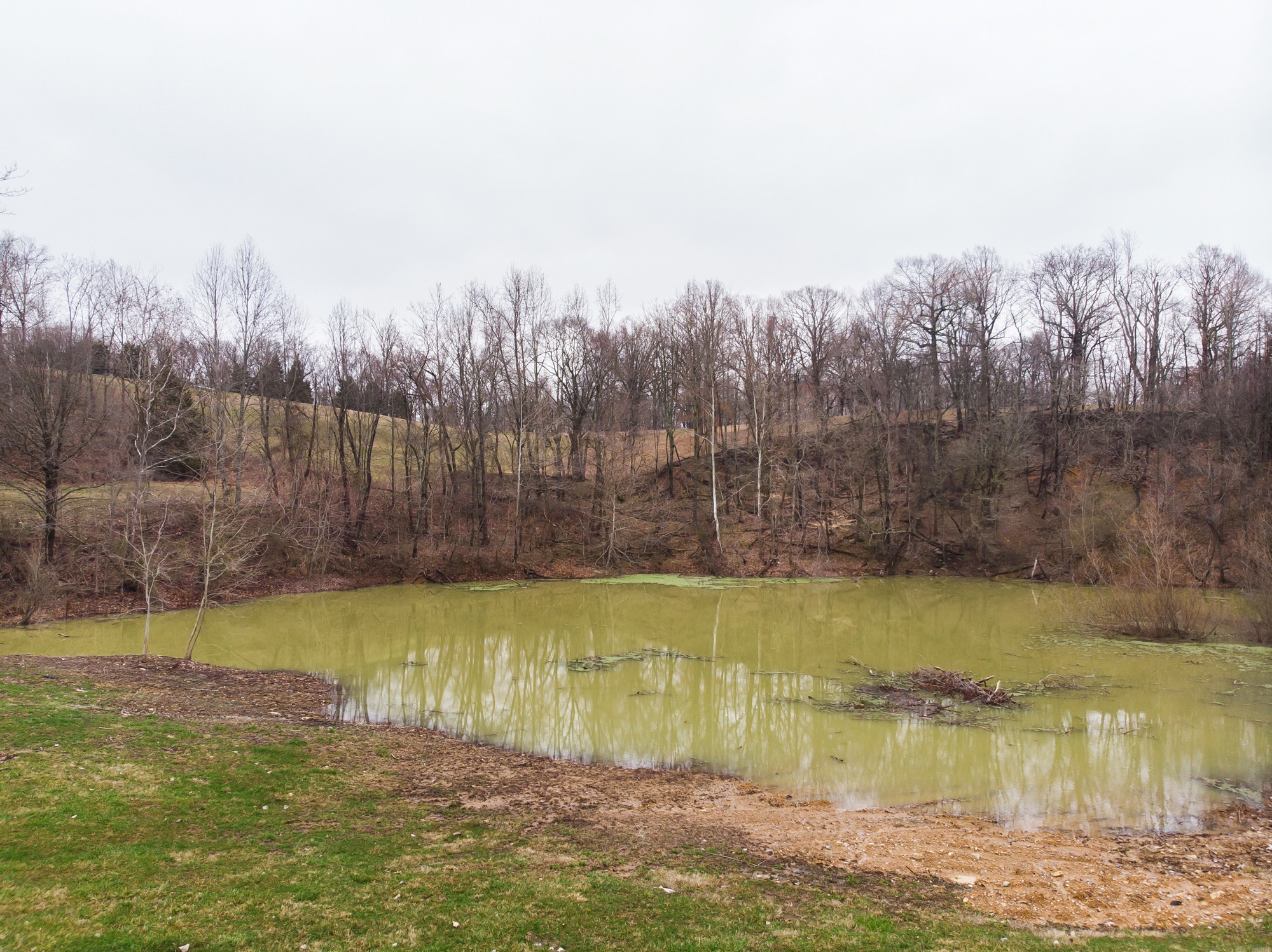 713 Still Pond Road Columbia, TN 38401 - Photo 39 of 41 Gallery Image 39