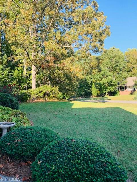 193 Dublin Road Advance, NC 27006 - Photo 8 of 44 Front yard to the street