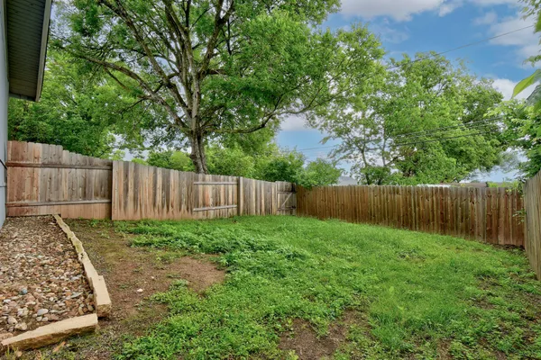 a garden with wooden fence