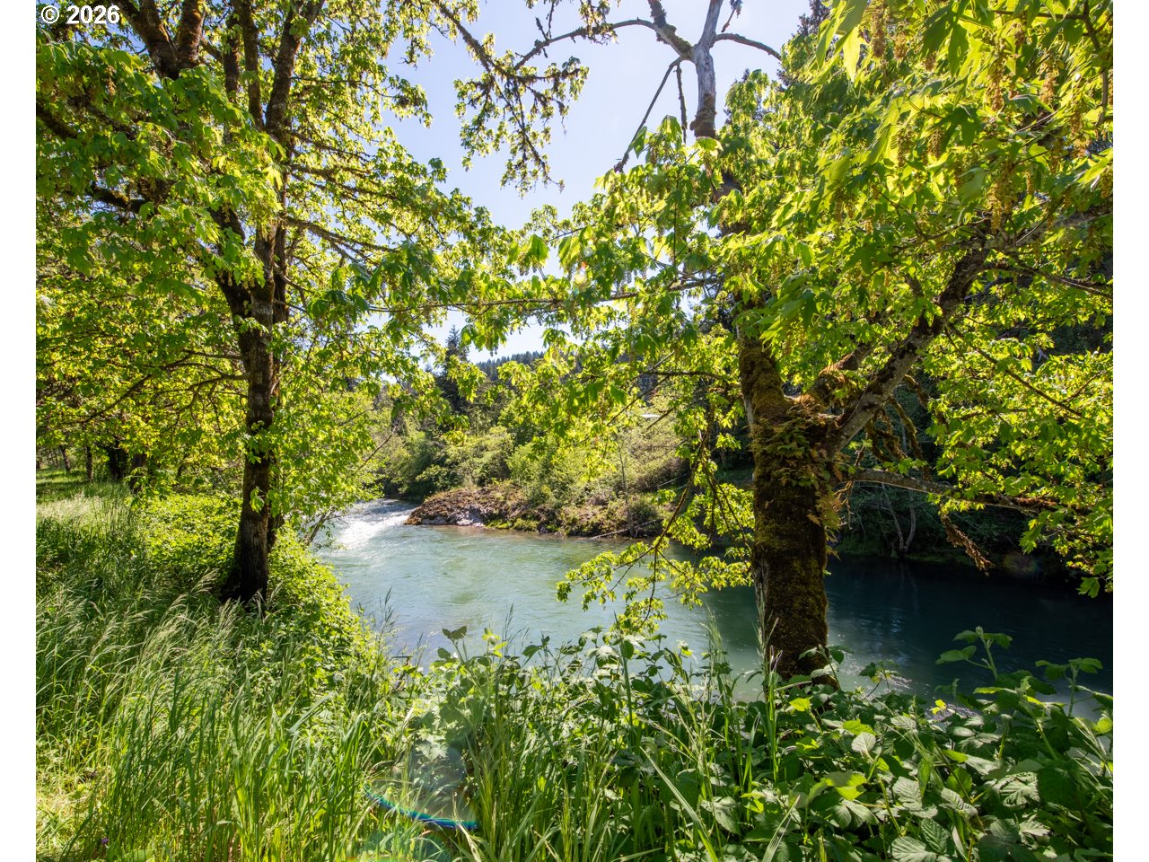 37526 Row River Road Dorena, OR 97434 - Photo 2 of 18