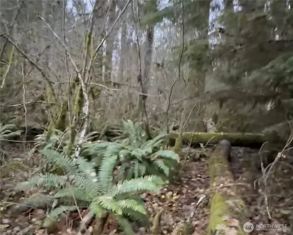 $125,000 | 31518 557th St Court East, Ashford, WA 98304