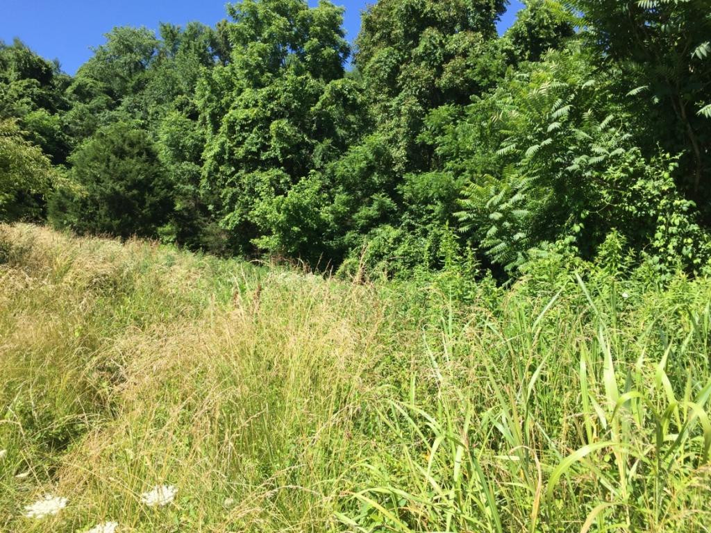 0 Stone Ridge Court, Unit 15 Elizabethton, TN 37643 - Photo 15 of 24 BUY ME AND START BUILDING