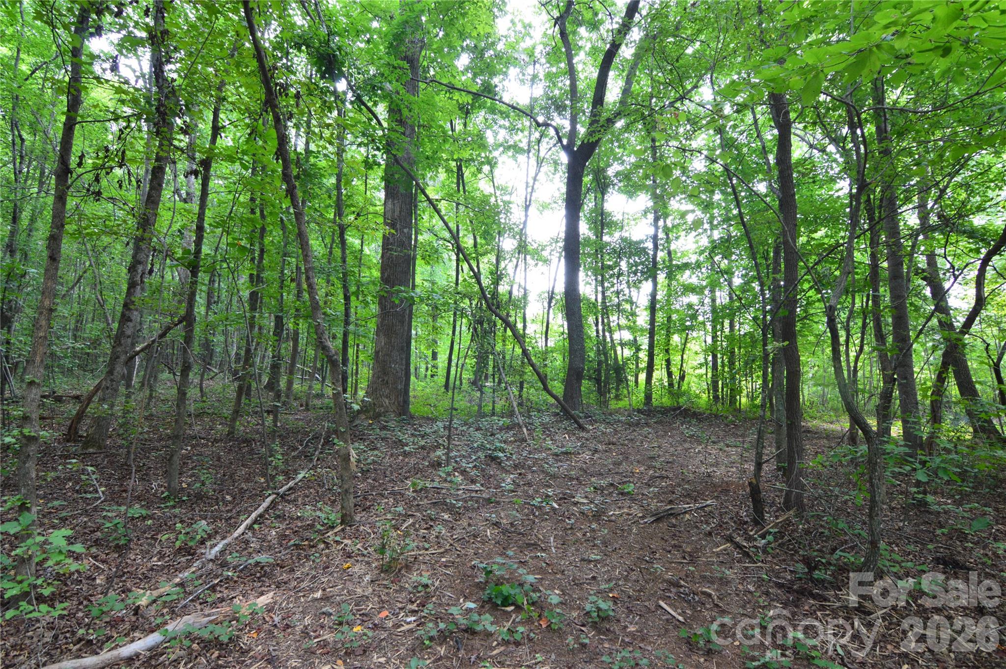 607 Anthony Grove Road Crouse, NC 28033 - Photo 38 of 48 Gallery Image 38