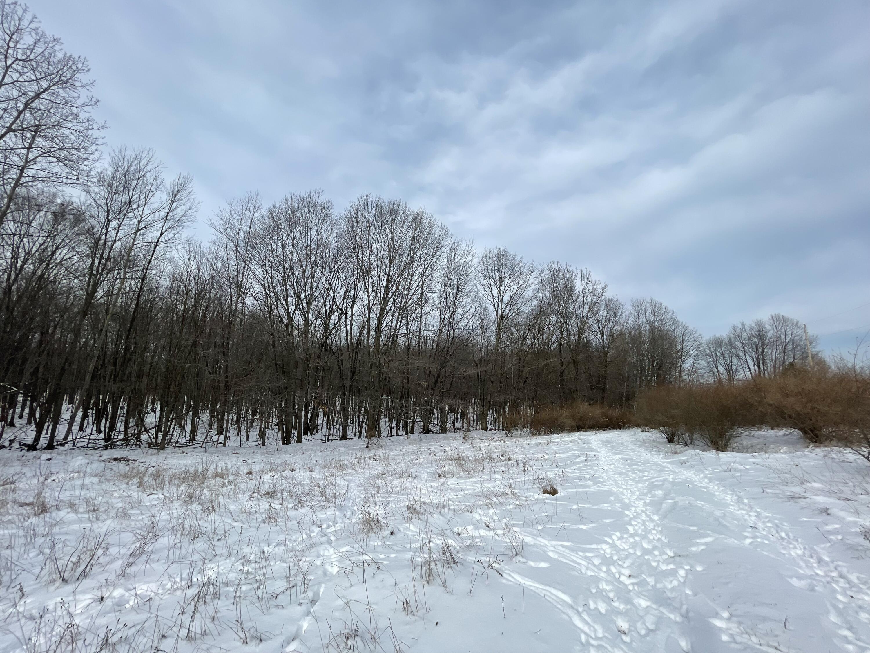 3492 Miner Road Crystal, MI 48818 - Photo 12 of 81 20