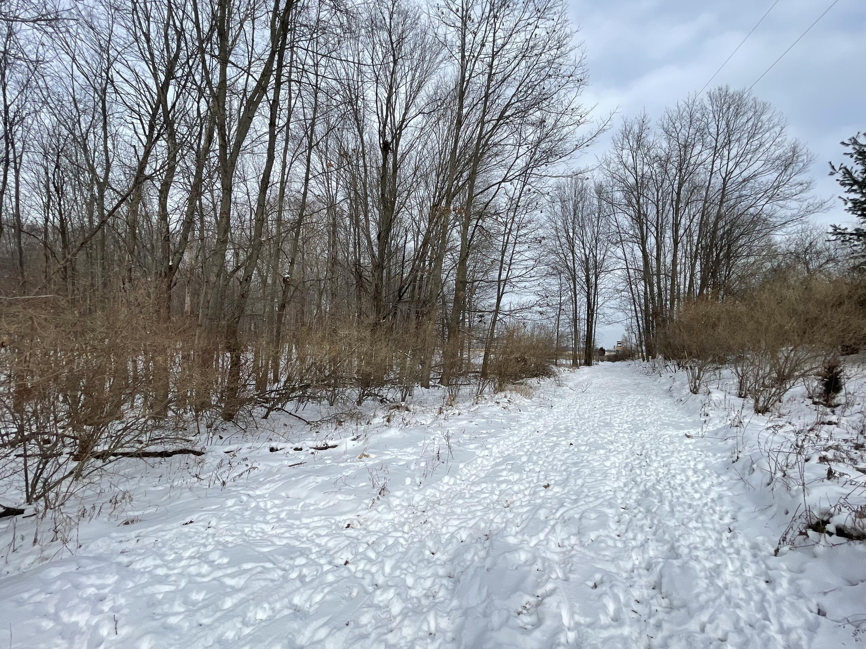 3492 Miner Road Crystal, MI 48818 - Photo 15 of 81 23