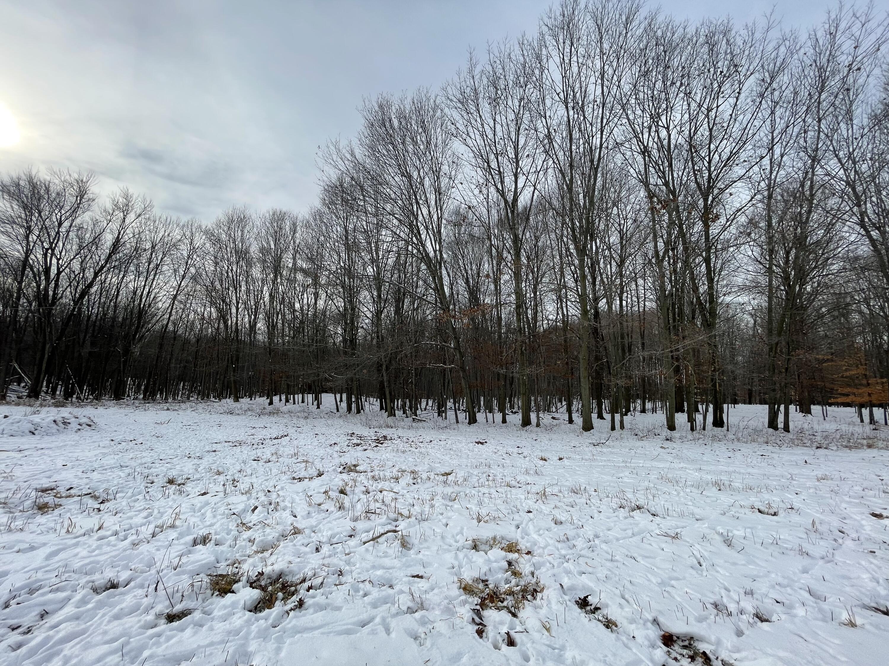 3492 Miner Road Crystal, MI 48818 - Photo 17 of 81 25