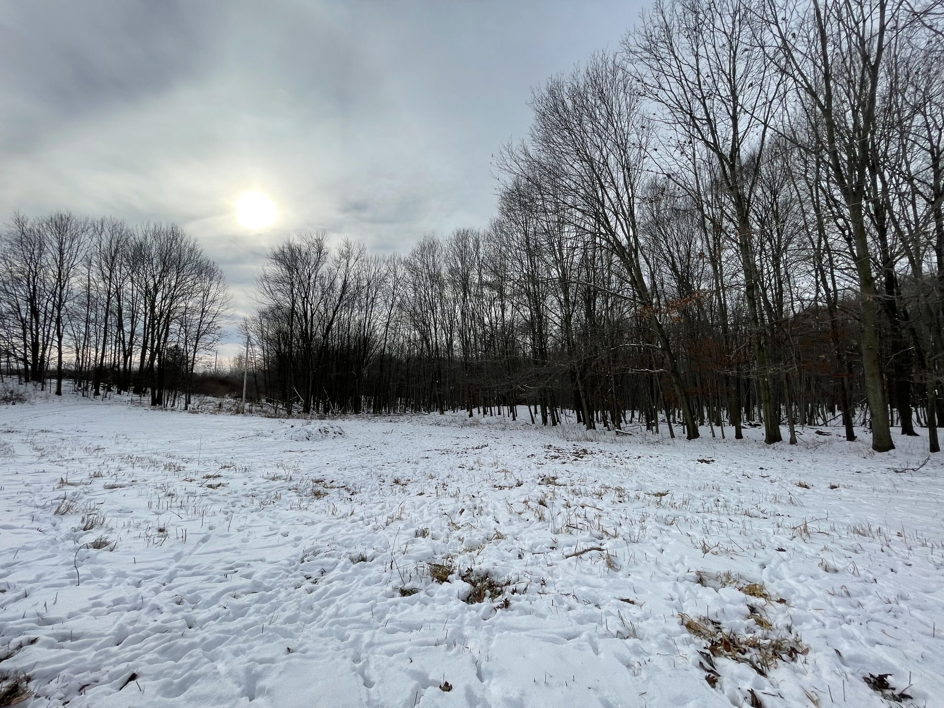 3492 Miner Road Crystal, MI 48818 - Photo 18 of 81 26