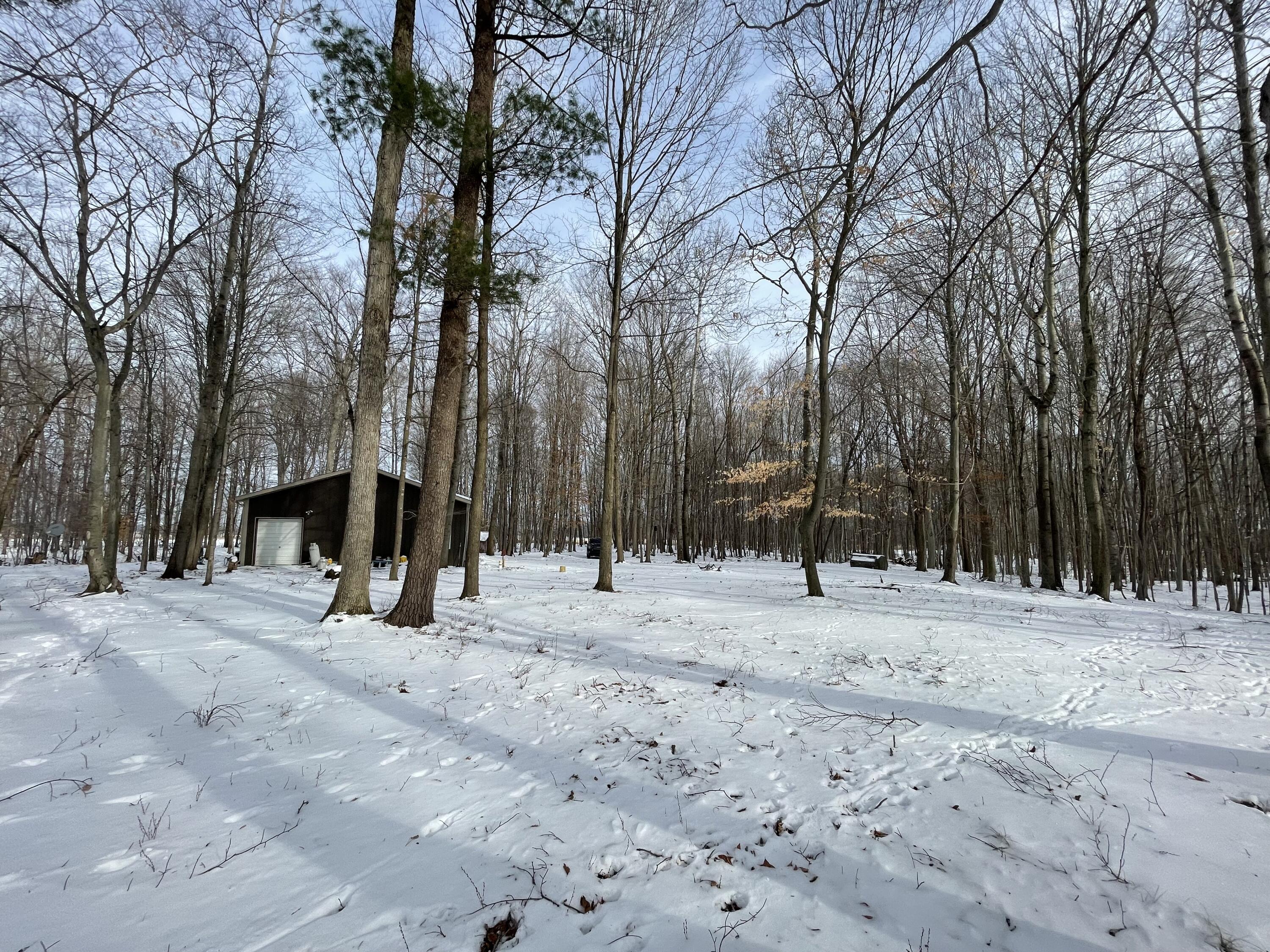 3492 Miner Road Crystal, MI 48818 - Photo 28 of 81 36