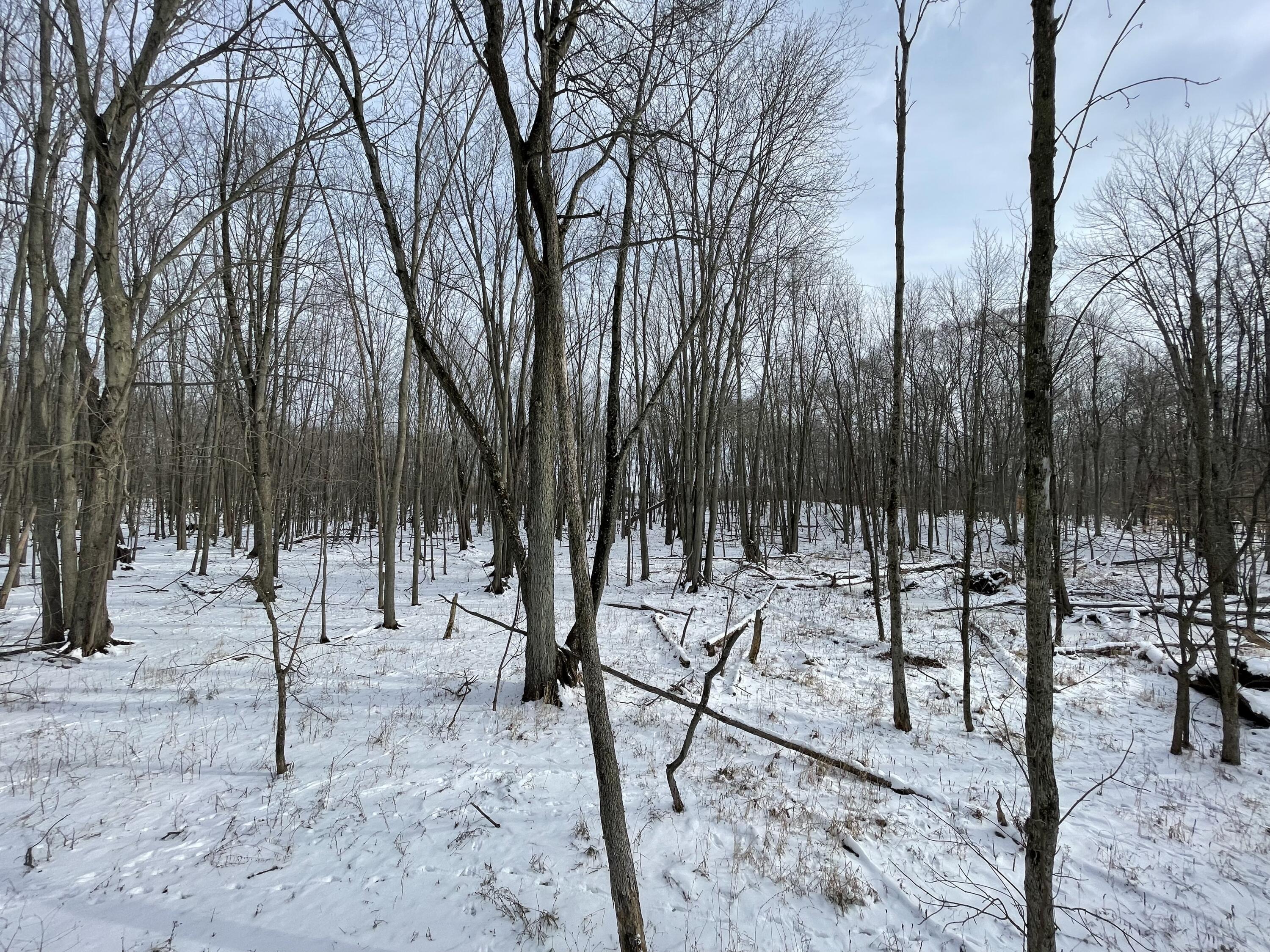 3492 Miner Road Crystal, MI 48818 - Photo 32 of 81 40.2