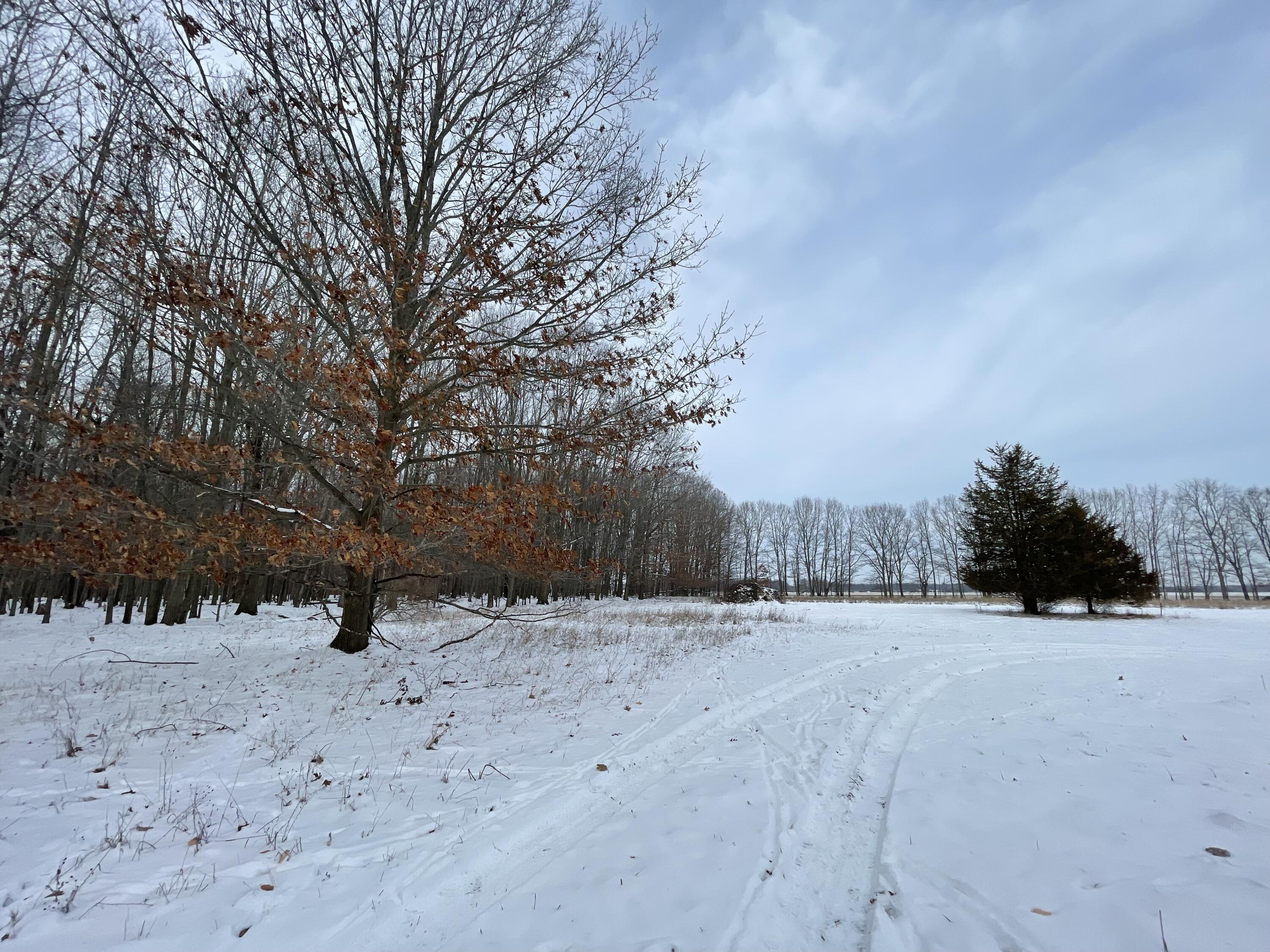 3492 Miner Road Crystal, MI 48818 - Photo 41 of 81 47