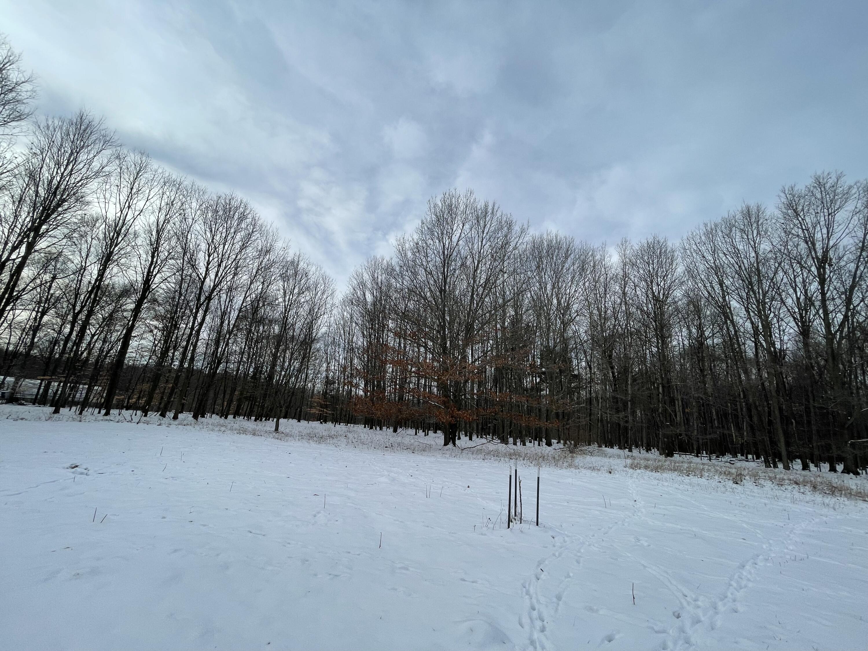 3492 Miner Road Crystal, MI 48818 - Photo 43 of 81 49