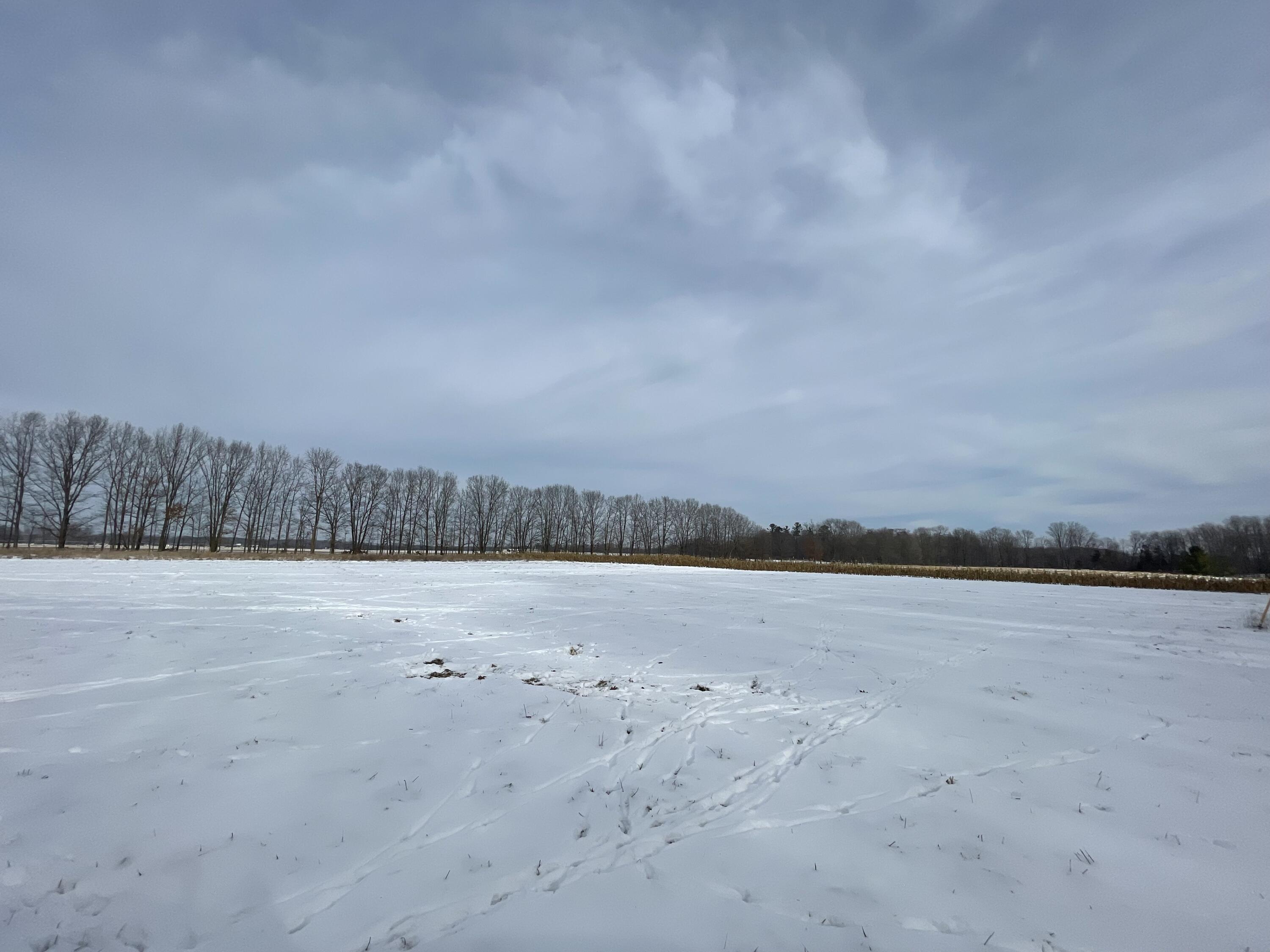 3492 Miner Road Crystal, MI 48818 - Photo 45 of 81 50.2
