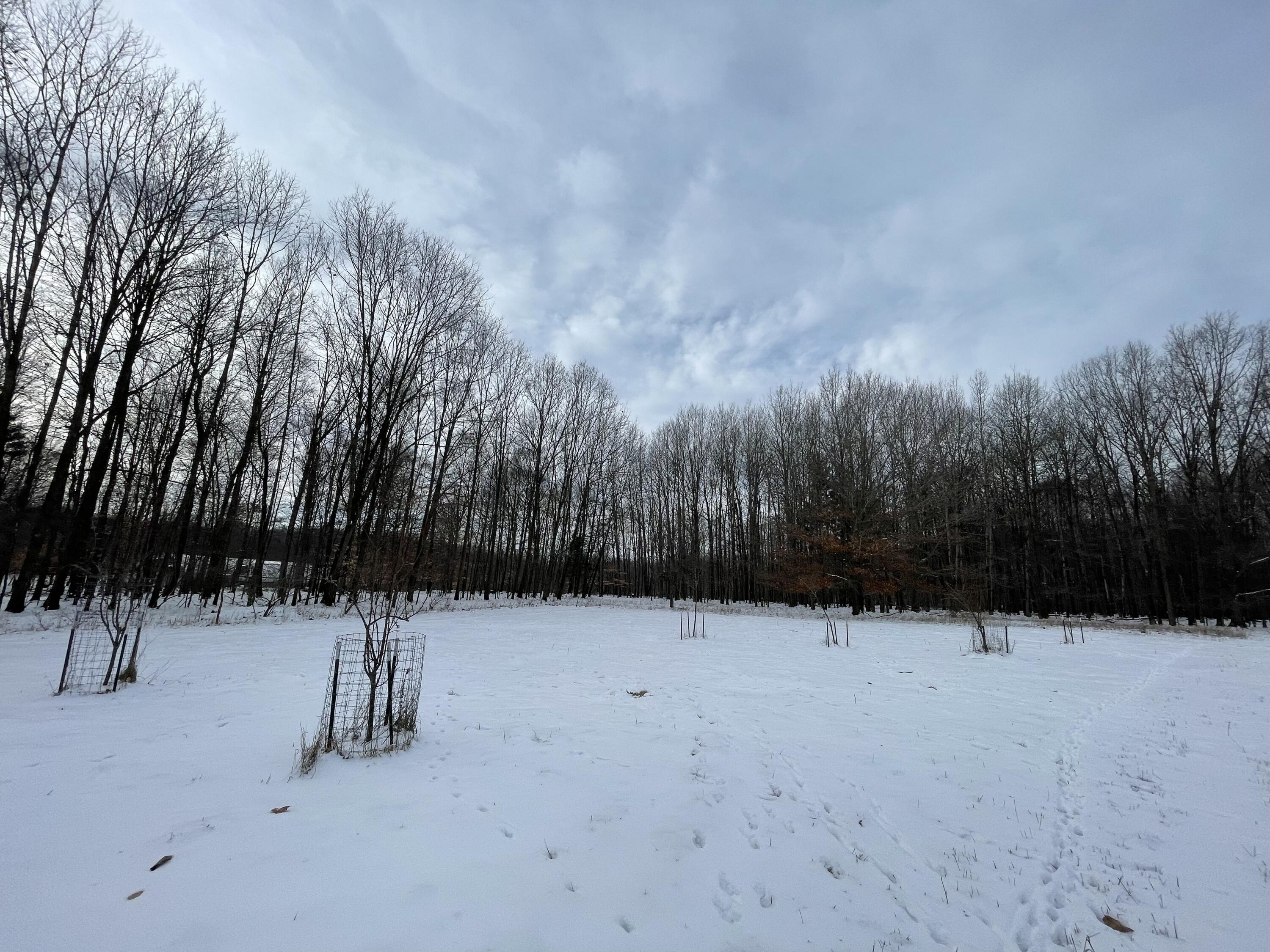3492 Miner Road Crystal, MI 48818 - Photo 46 of 81 50