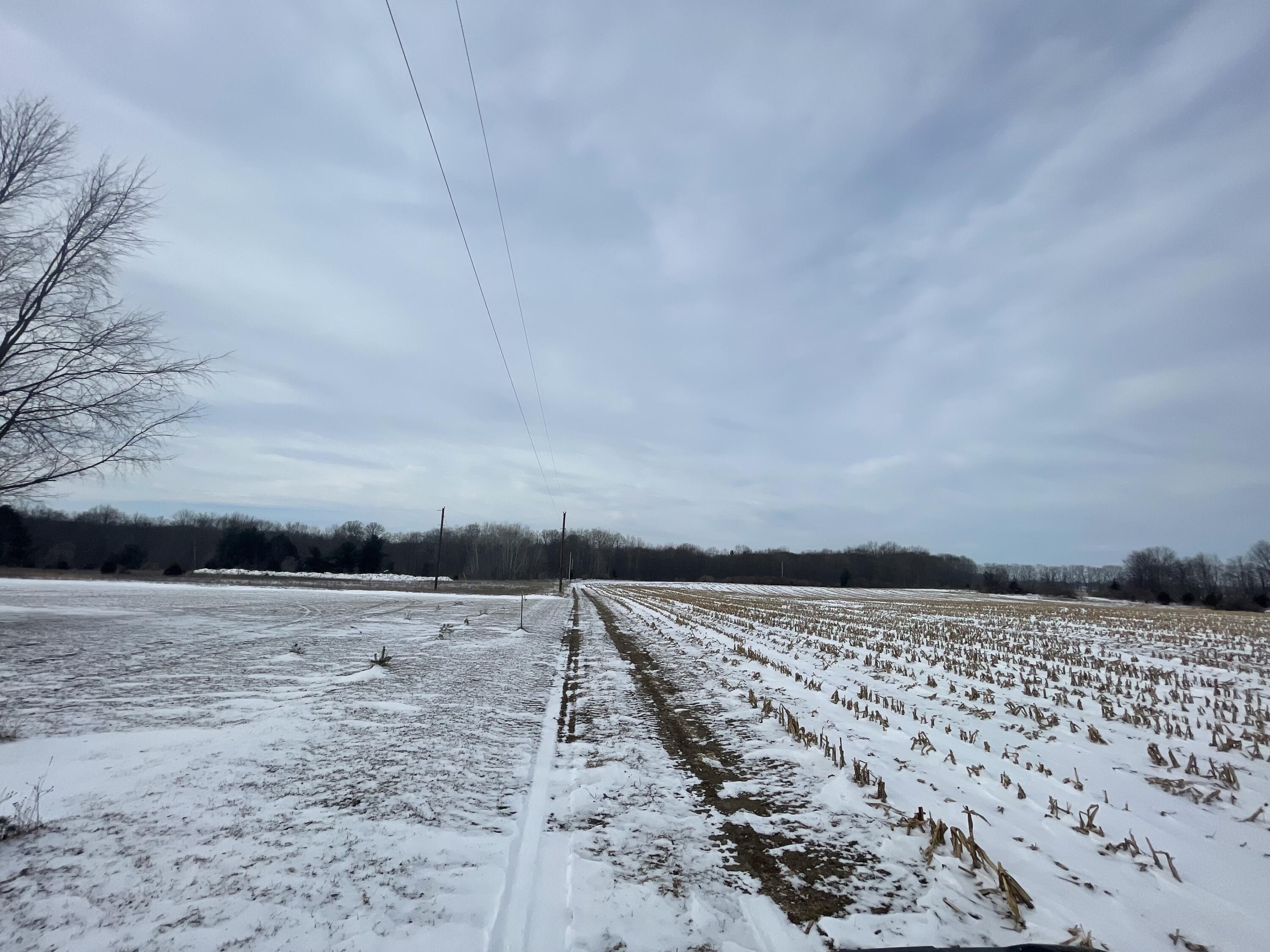 3492 Miner Road Crystal, MI 48818 - Photo 47 of 81 51.1