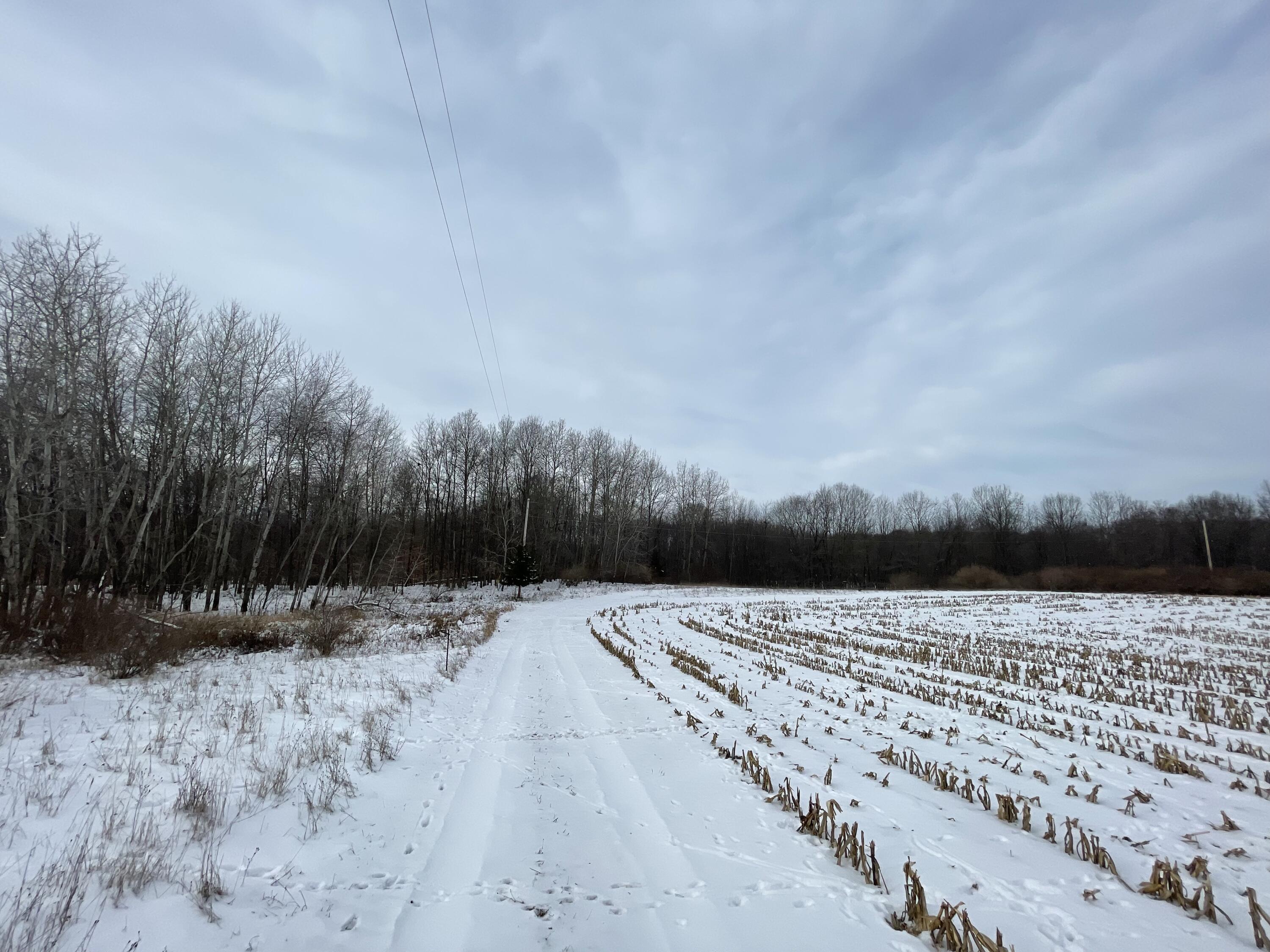 3492 Miner Road Crystal, MI 48818 - Photo 48 of 81 51.2