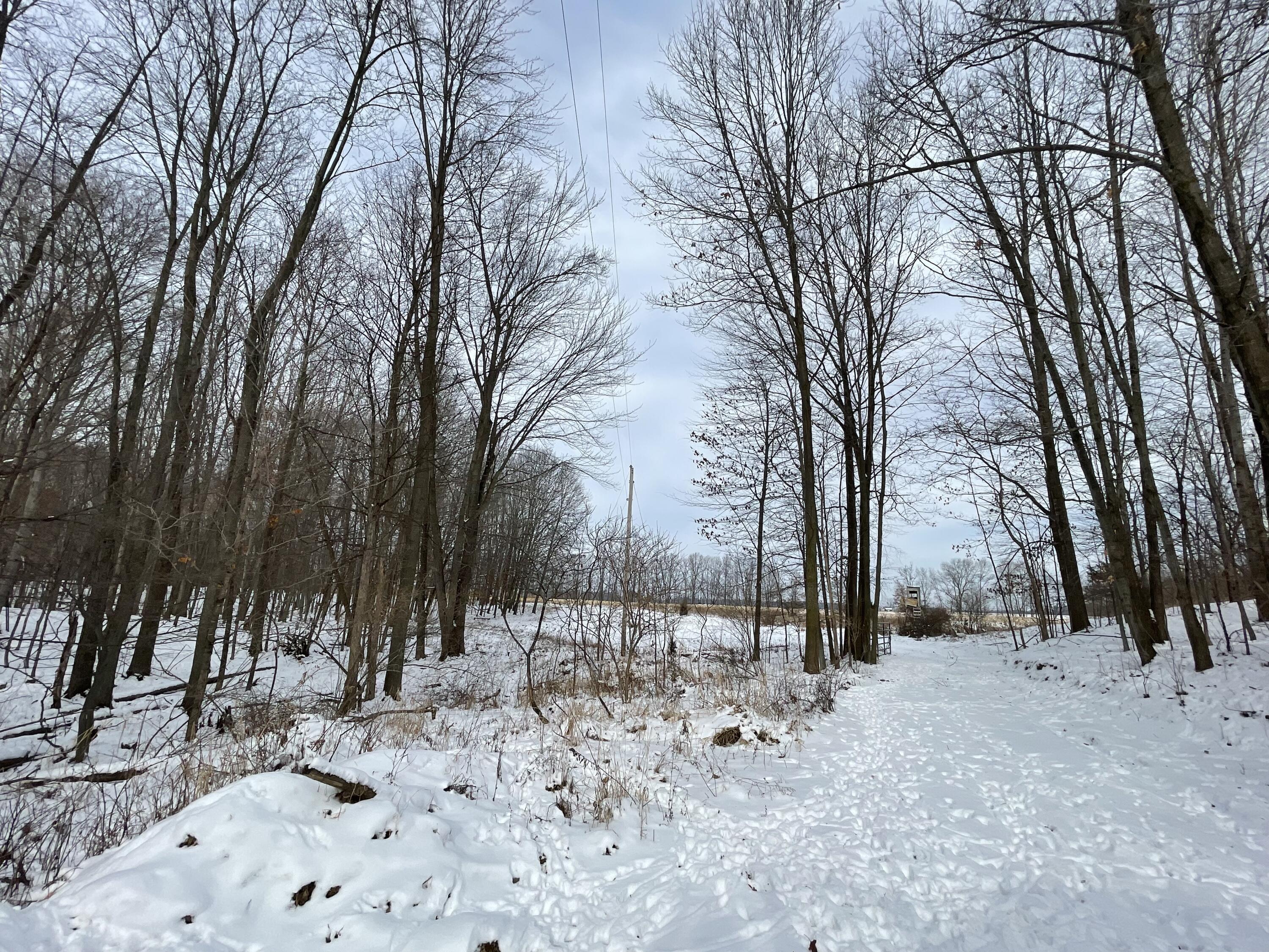 3492 Miner Road Crystal, MI 48818 - Photo 49 of 81 51.3