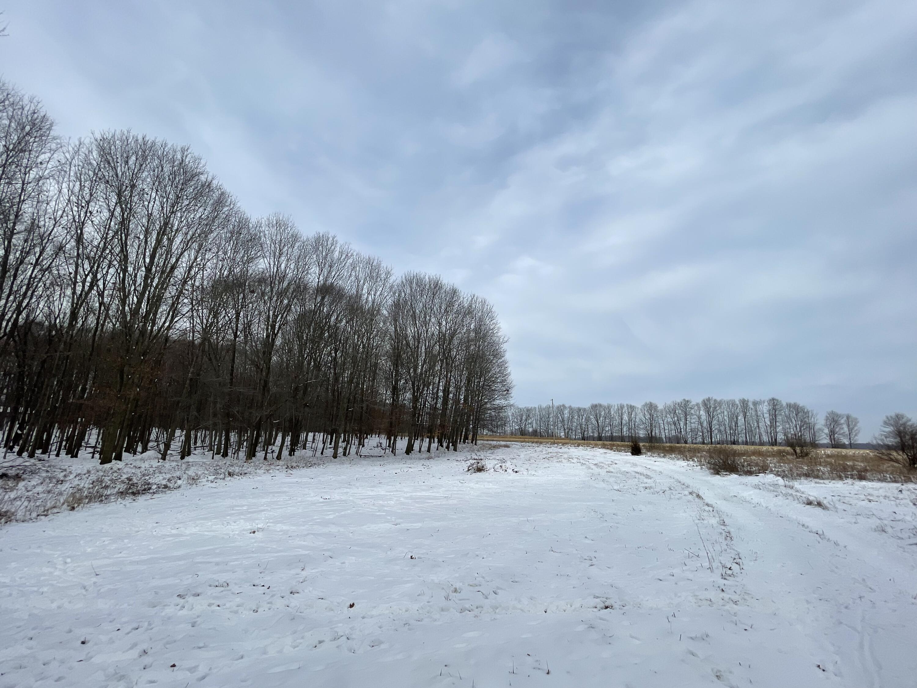 3492 Miner Road Crystal, MI 48818 - Photo 50 of 81 51.4