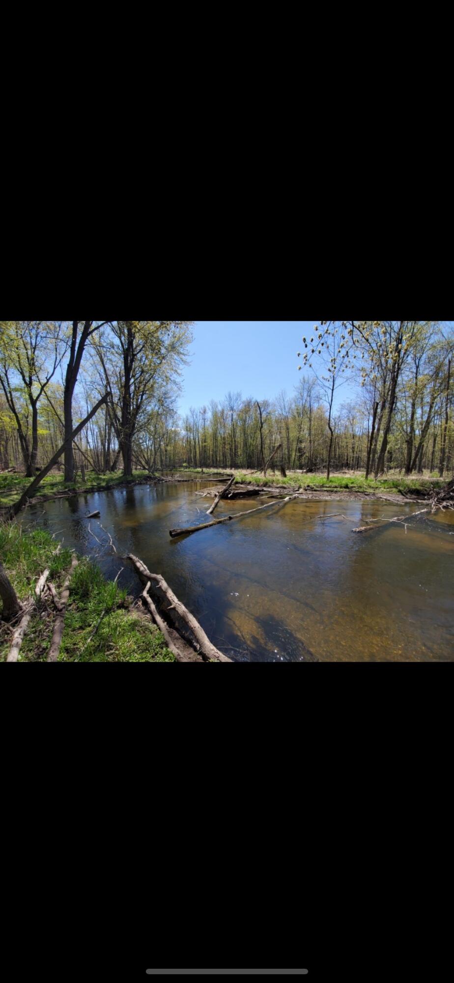 3492 Miner Road Crystal, MI 48818 - Photo 69 of 81 70