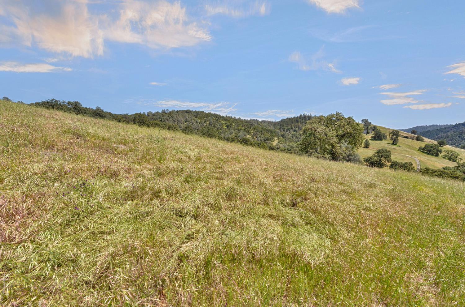 0 Bayne Road Garden Valley, CA 95633 - Photo 24 of 67 Gallery Image 24