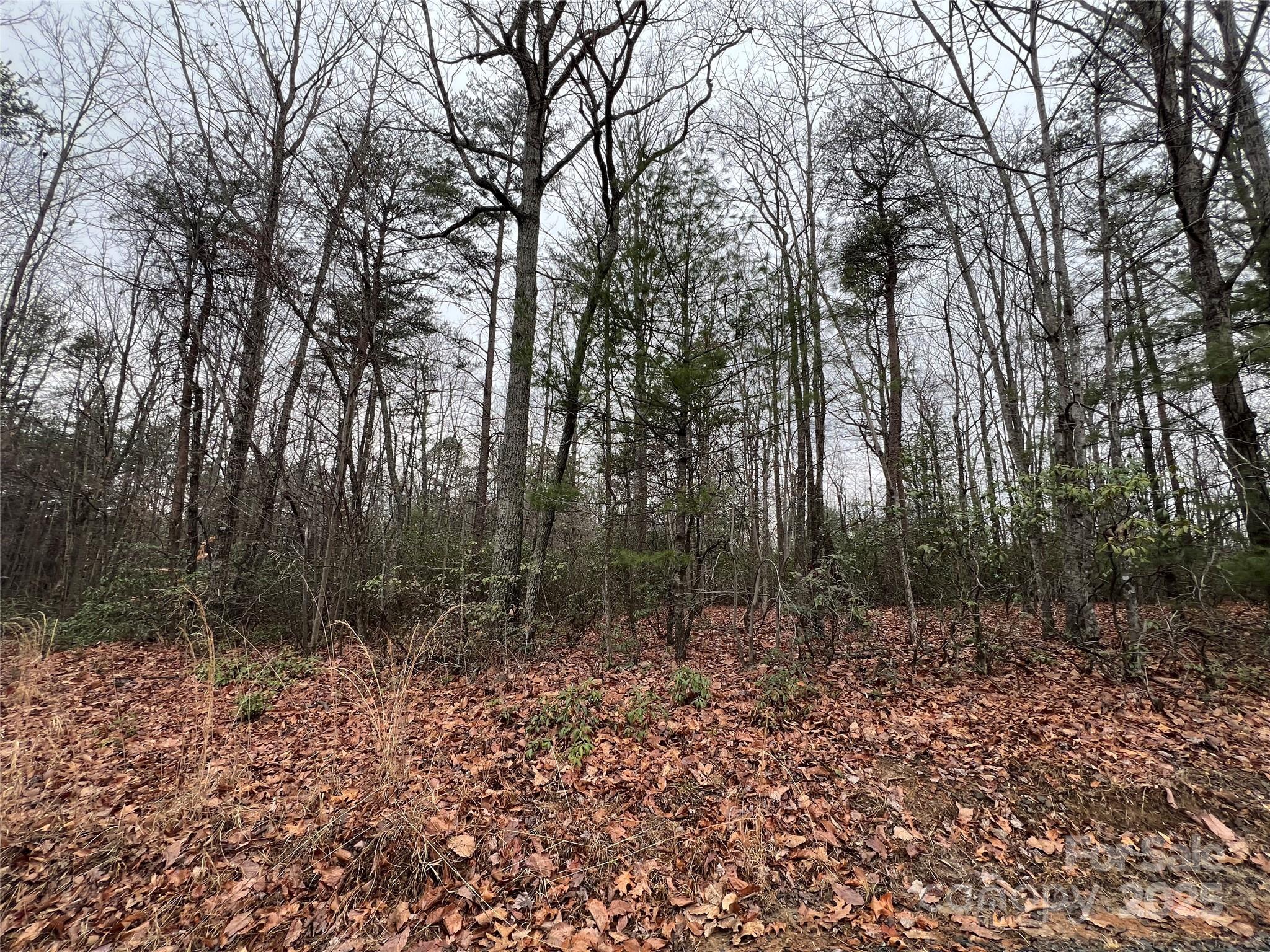 0 Raven Ridge Trail Dobson, NC 27017 - Photo 8 of 10 Gallery Image 8