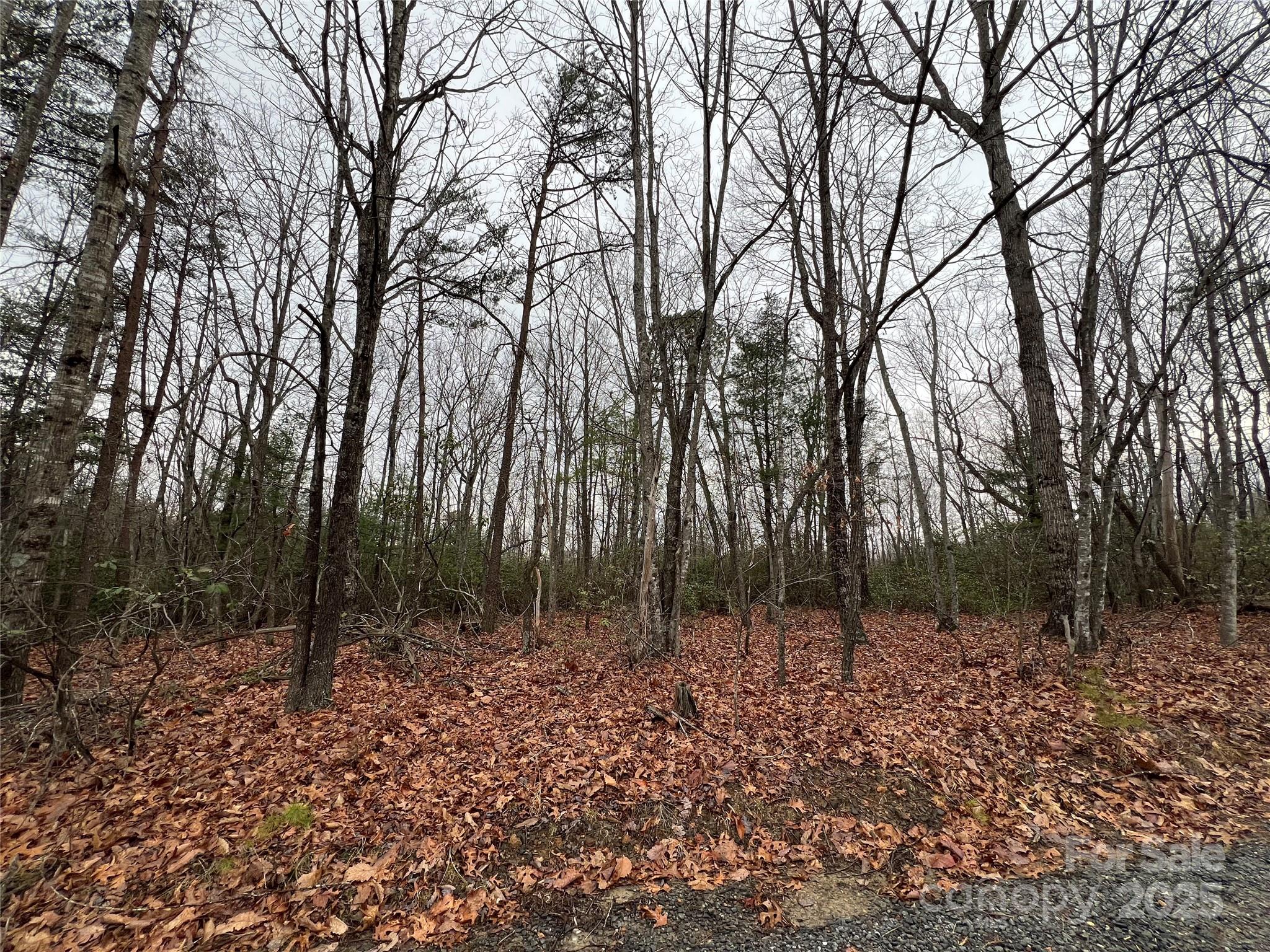 0 Raven Ridge Trail Dobson, NC 27017 - Photo 10 of 10 Gallery Image 10